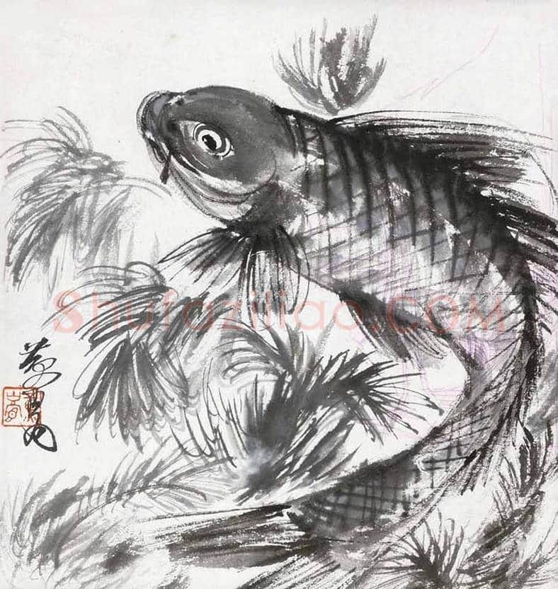 黄胄画鱼作品欣赏 | 书画科普