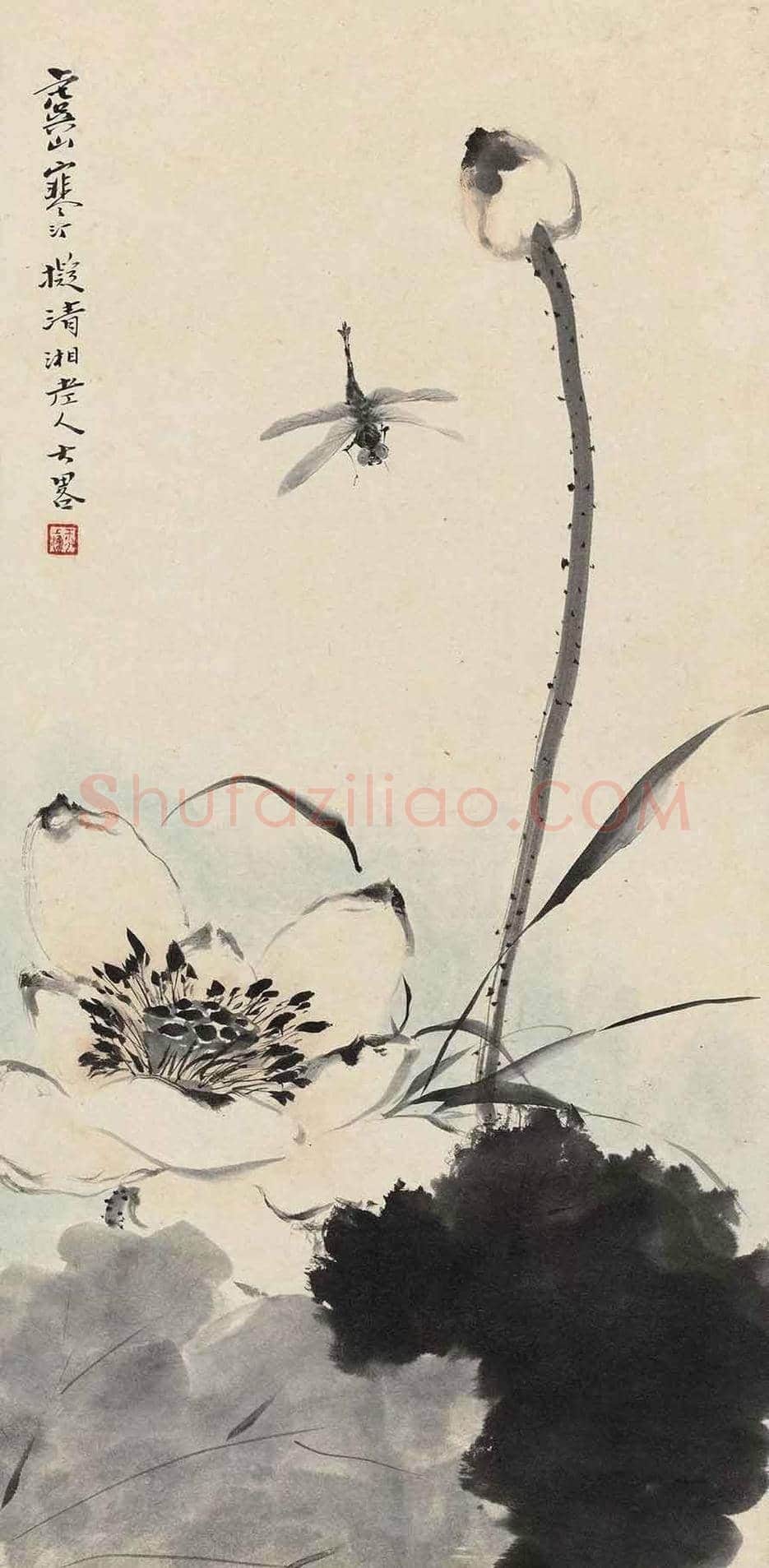 江寒汀荷花作品欣赏 | 书画讲解