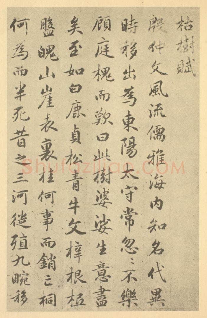 元 赵孟俯《元·赵孟俯·枯树图页·赵孟俯临题跋（一）》书画作品