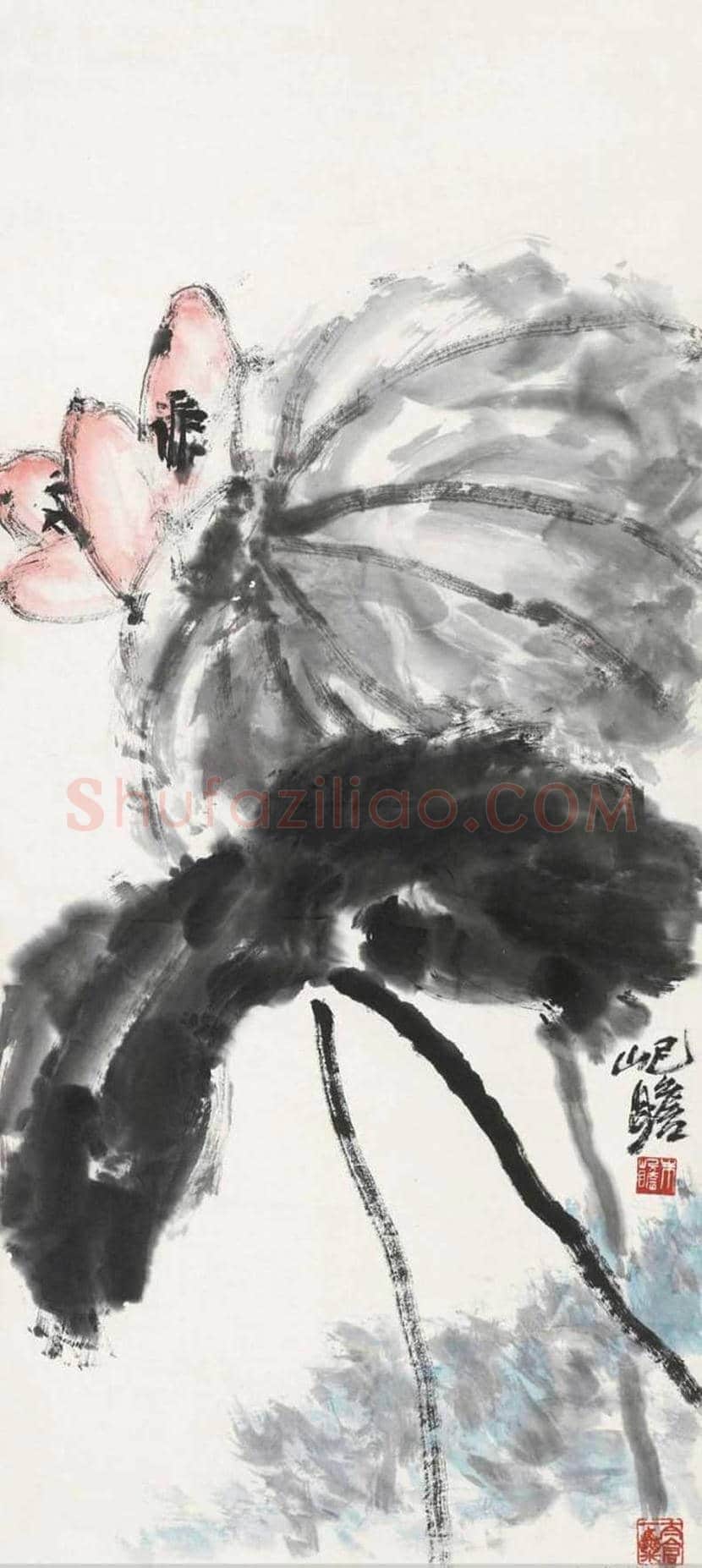 朱屺瞻荷花作品欣赏 | 书画科普
