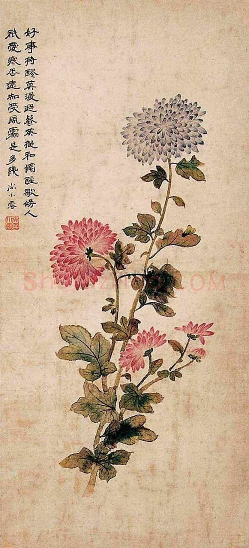 尚小云书画作品欣赏 | 书画讲解