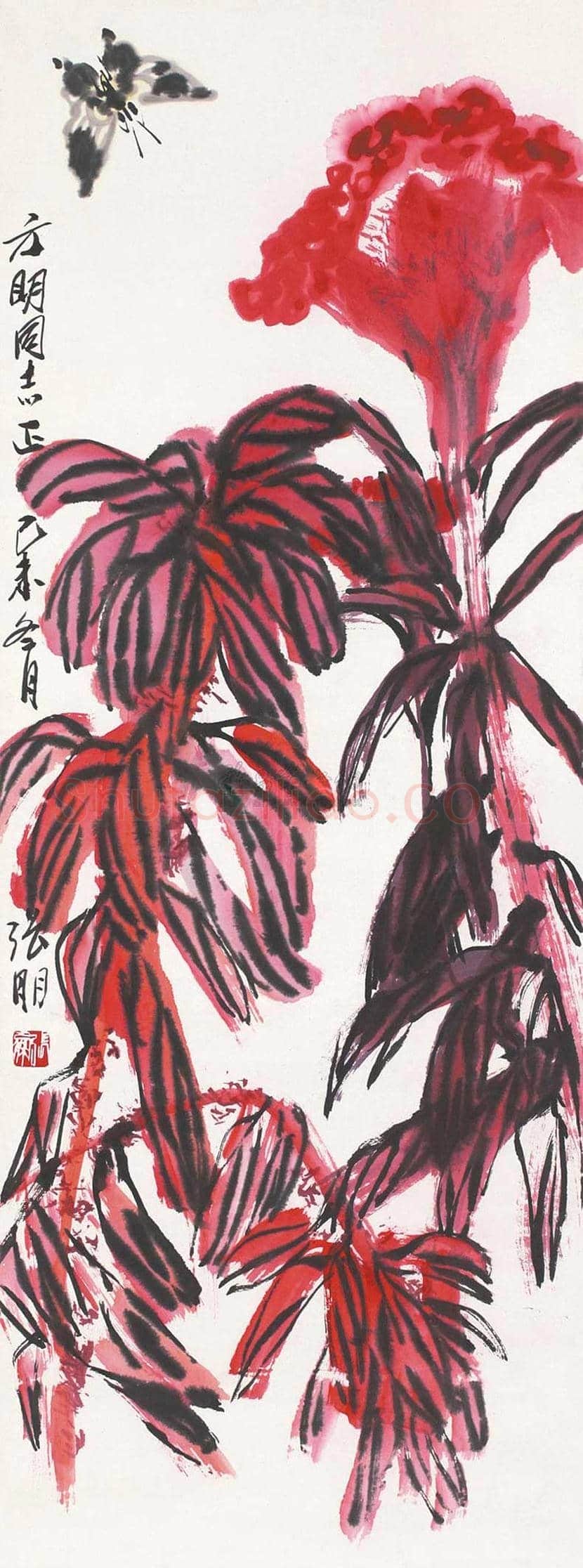 张朋花鸟画作品欣赏 | 书画文摘