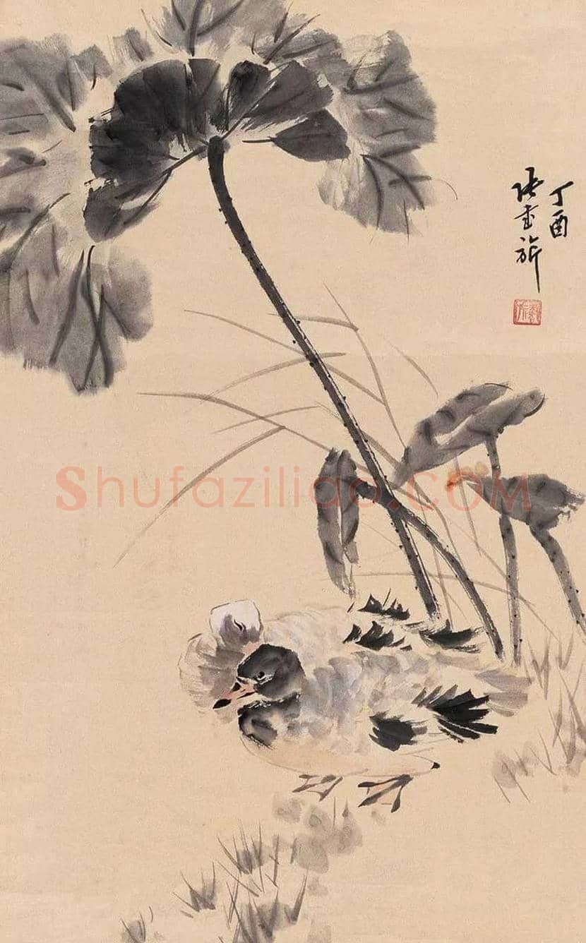 张书旂花鸟画作品欣赏 | 书画讲解