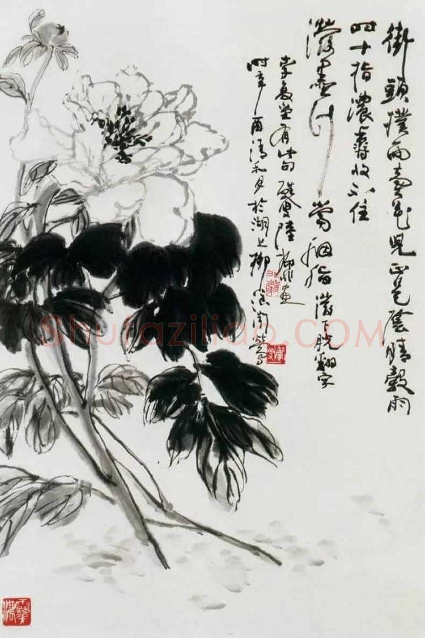 陆抑非牡丹作品欣赏 | 书画科普