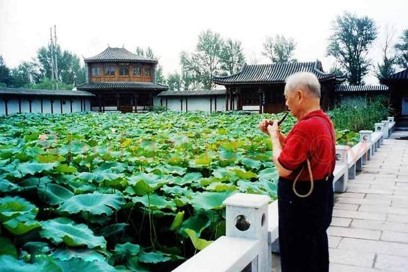 黄永玉重彩荷花《晨颜》,写意荷花精品 | 国画赏析