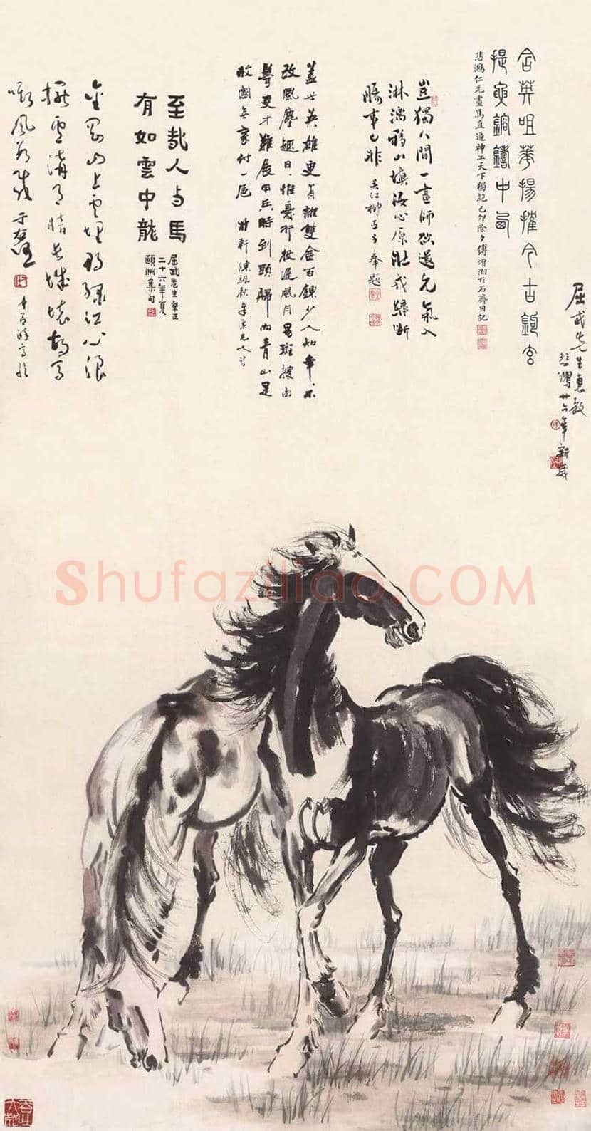 徐悲鸿画马作品高清图片 | 书画资料
