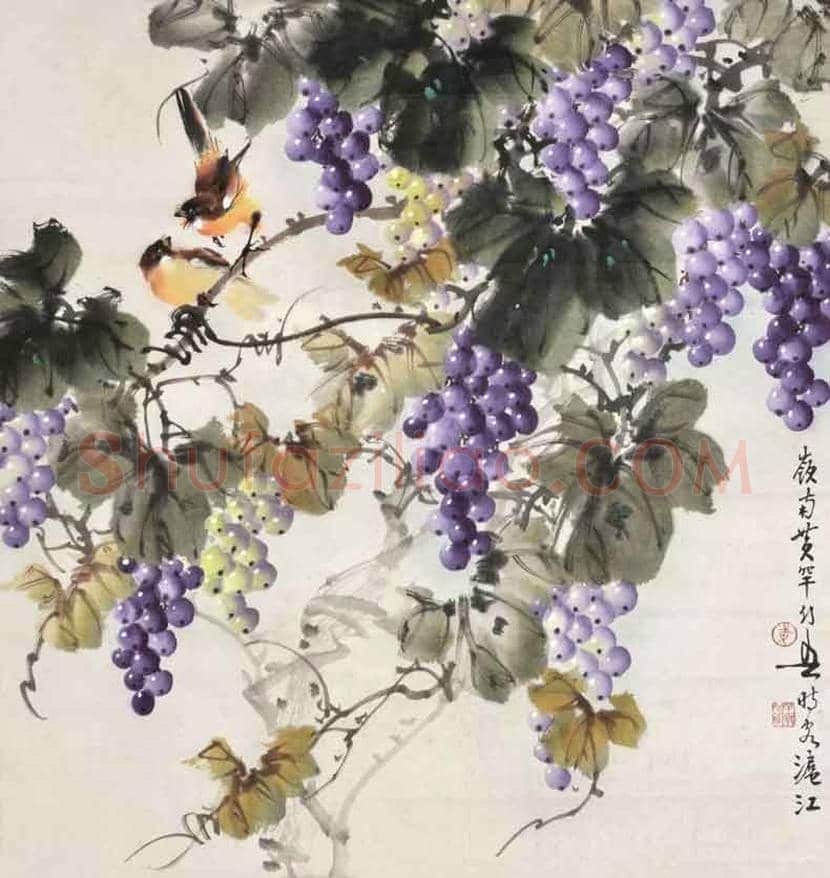 黄幻吾笔下的葡萄小鸟 | 书画常识