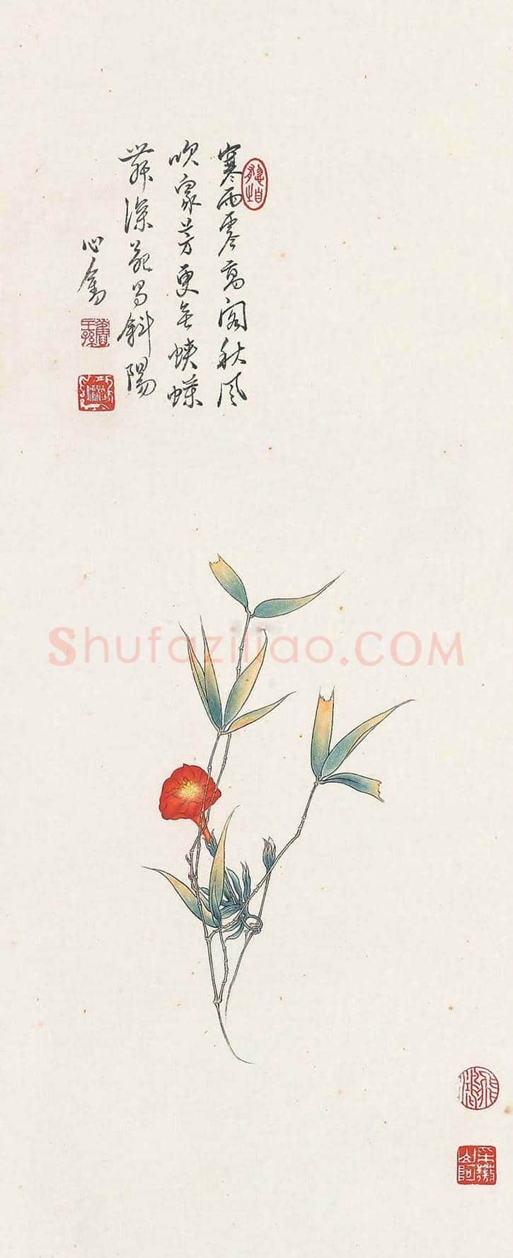 溥儒花卉作品欣赏 | 书画知识