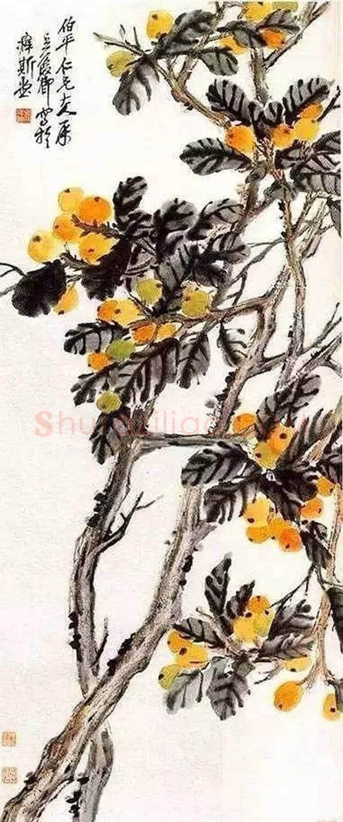 吴昌硕等三位大师画笔下的枇杷 | 书画讲解