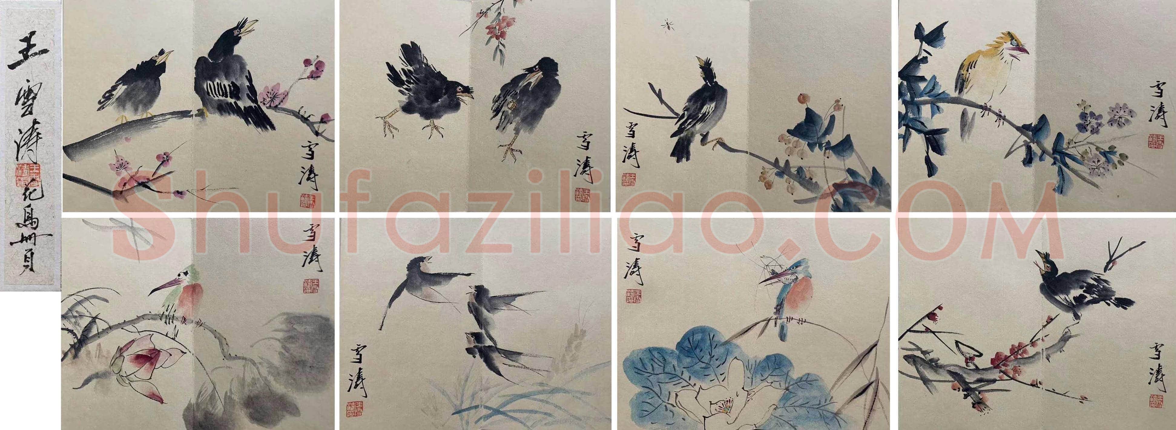 王雪涛《花鸟册页》,晚年精品! | 国画欣赏