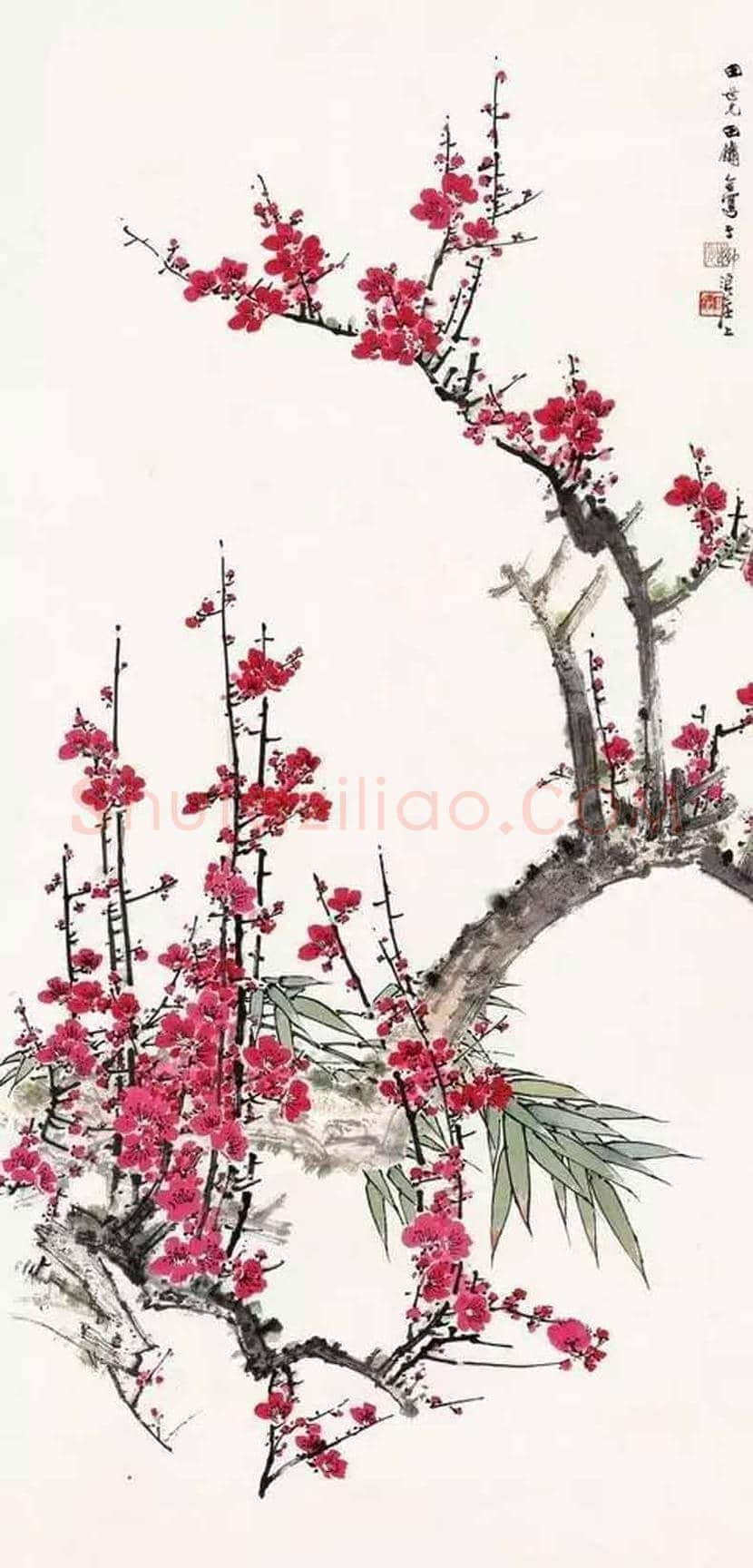 田世光花鸟画作品欣赏 | 书画科普