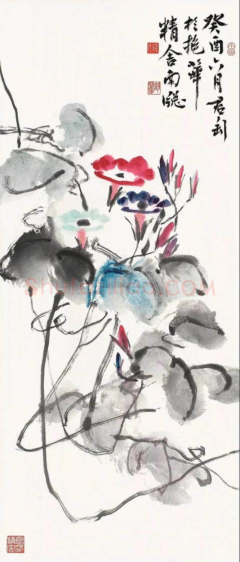 钱君匋笔下的牵牛花,清新奔放 | 书画文摘