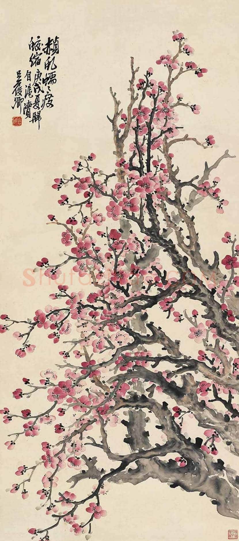 吴昌硕笔下的梅花，读你千遍也不厌！ | 书画文摘