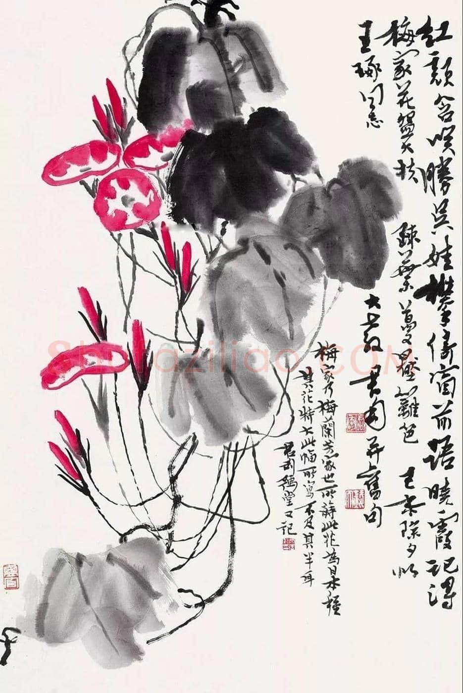 钱君匋笔下的牵牛花,清新奔放 | 书画文摘
