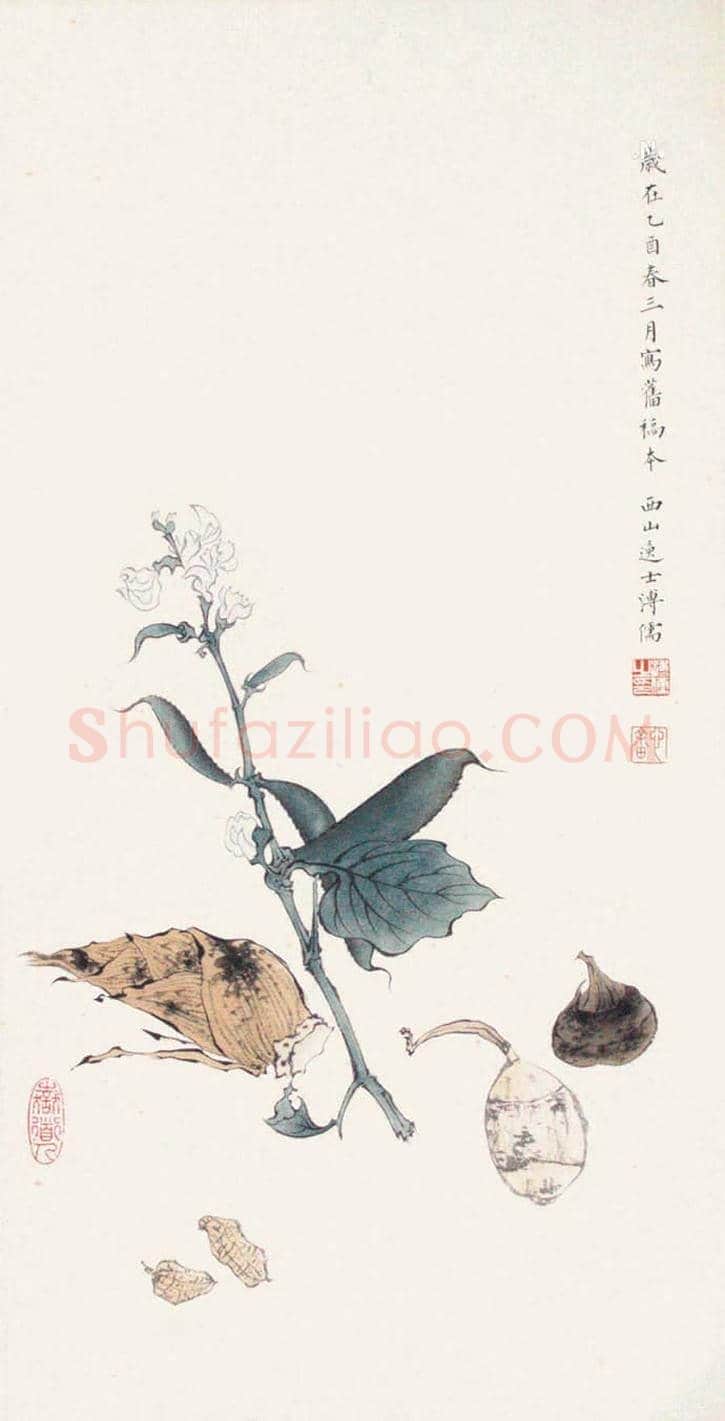 溥儒花卉作品欣赏 | 书画知识