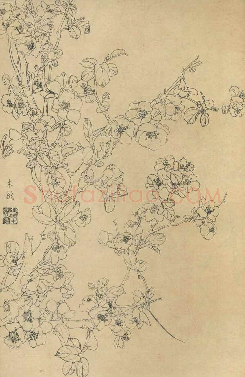 百花图谱大全【白描画】 | 书画资料