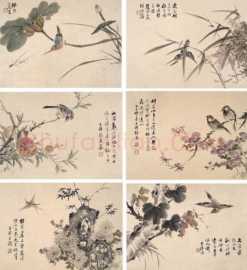 张熊花鸟画作品欣赏 | 书画常识
