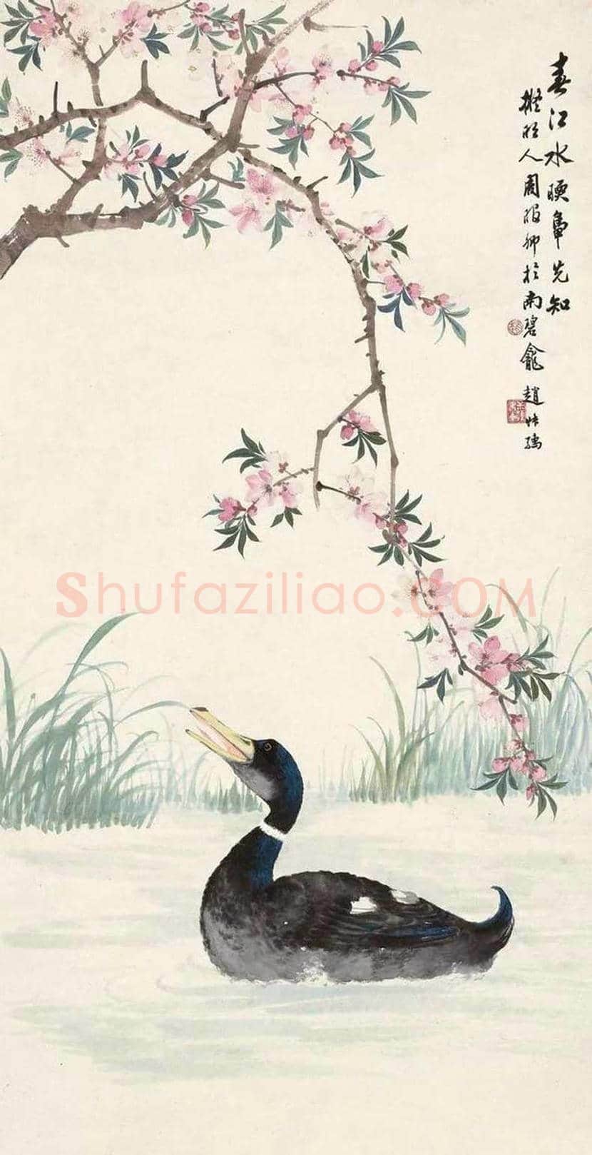 赵叔孺花鸟画欣赏 | 书画科普
