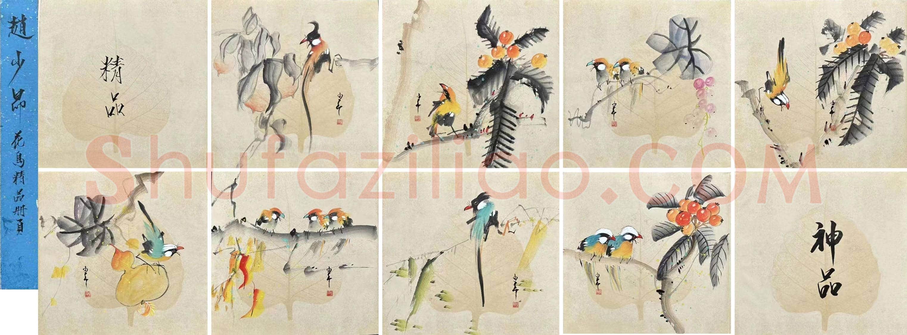 赵少昂精品《花鸟册页》，珍罕力作 | 国画作品