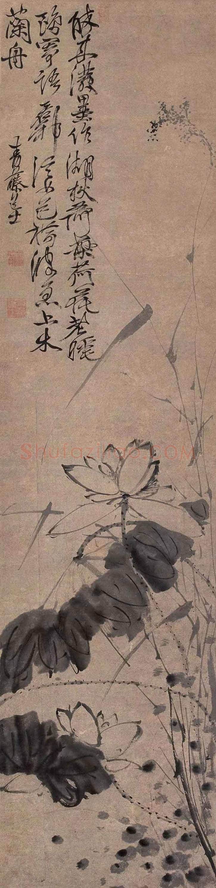 徐渭墨荷,这才叫大写意 | 书画知识