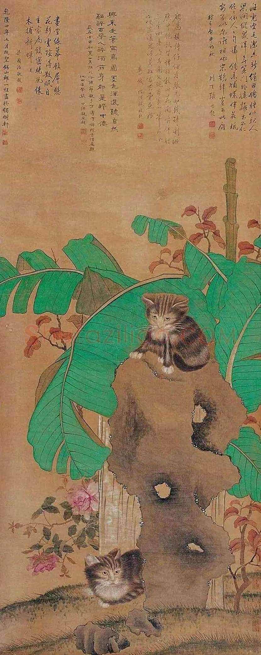 邹一桂工笔花鸟画作品欣赏 | 书画学堂