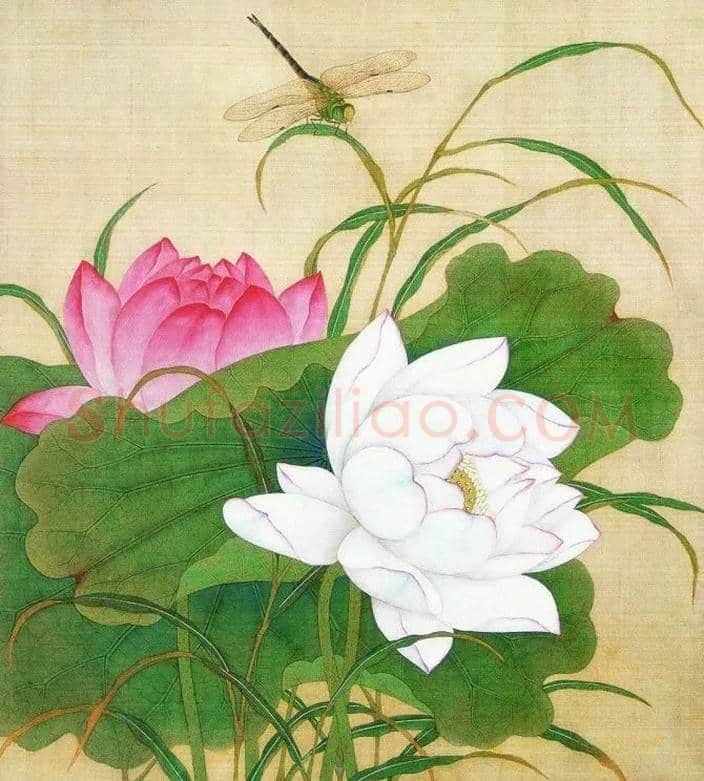 古代经典花鸟名画欣赏 | 书画常识