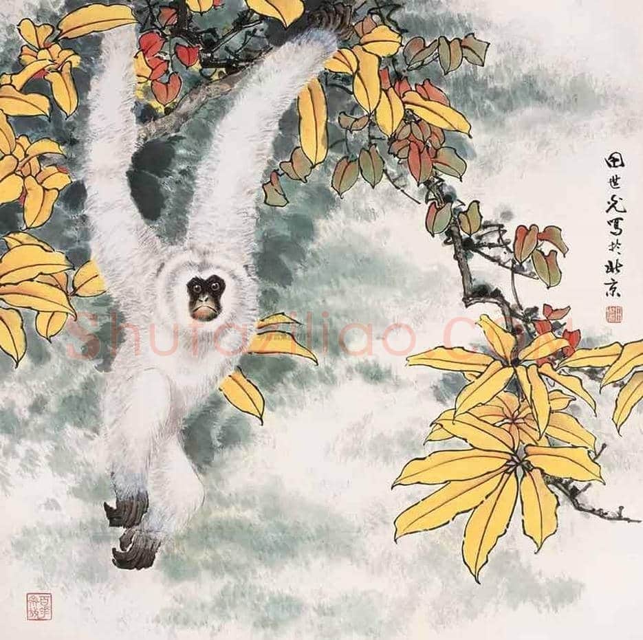 田世光猿猴作品精选 | 书画文摘