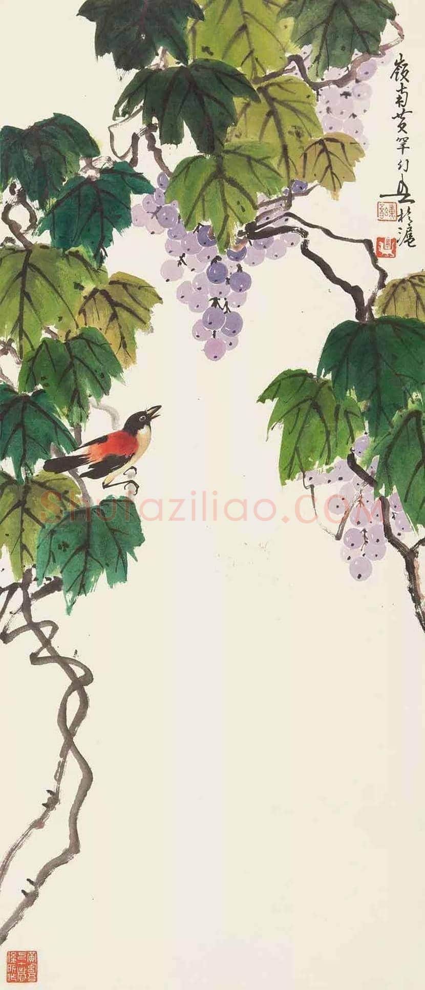 黄幻吾笔下的葡萄小鸟 | 书画常识