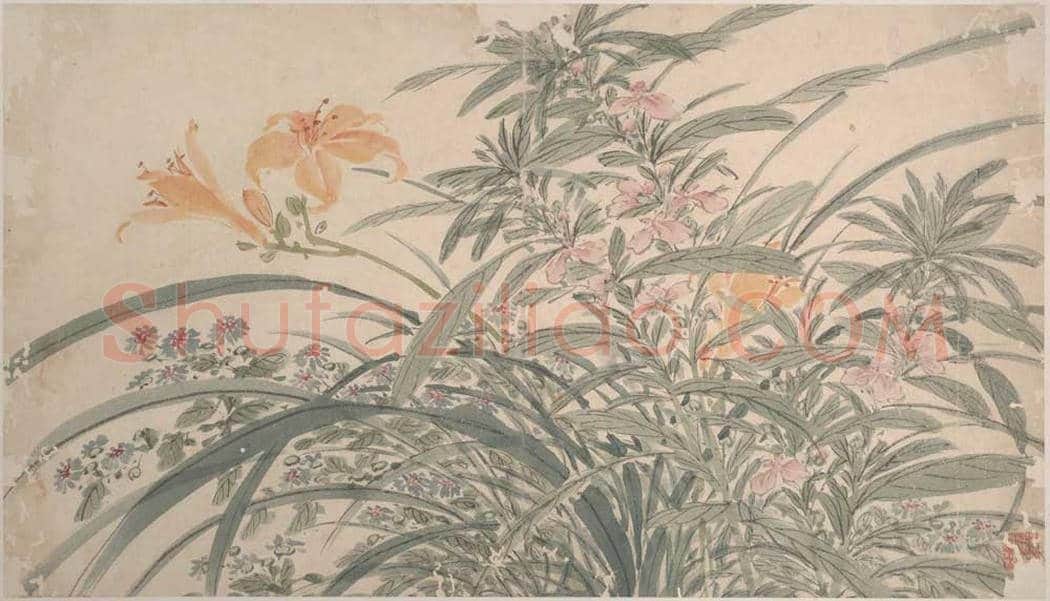 陈淳《花卉图》高清大图欣赏 | 书画常识
