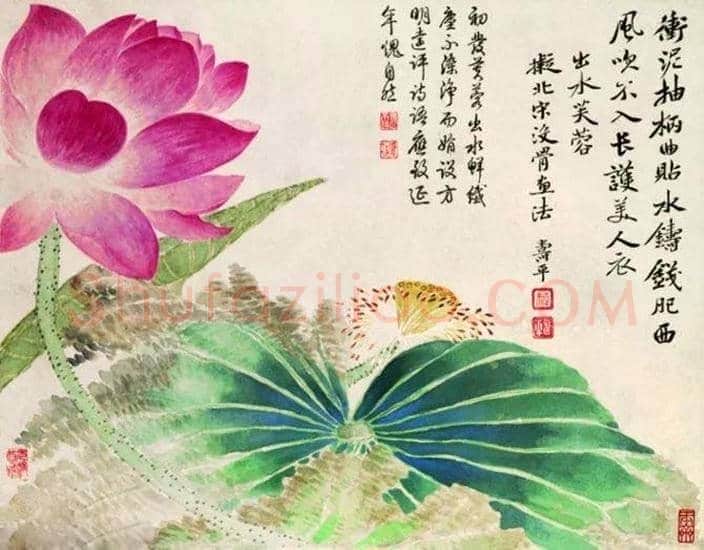 古代经典花鸟名画欣赏 | 书画常识
