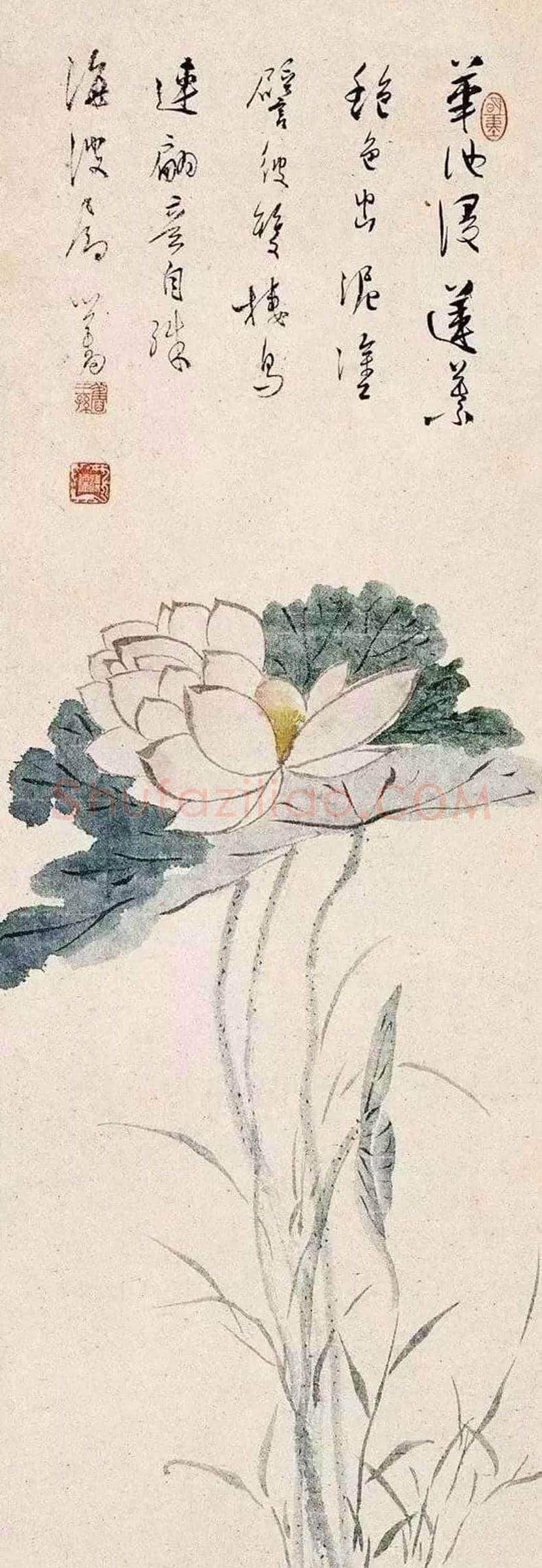 溥心畲笔下的荷花,清新脱俗! | 书画资料