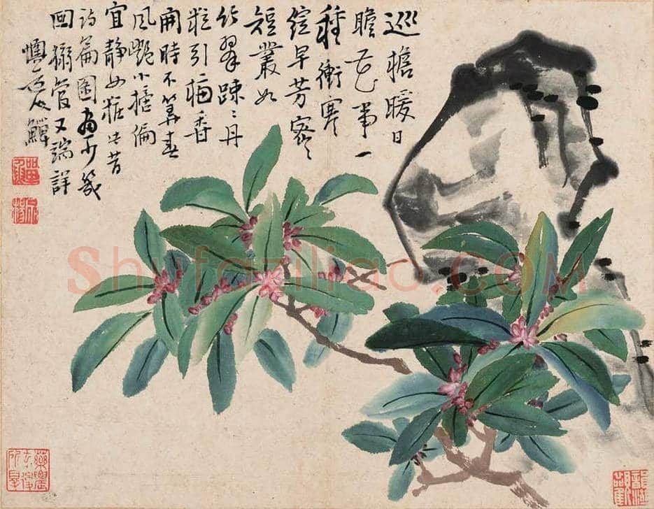李鱓花鸟册页欣赏 | 书画讲解
