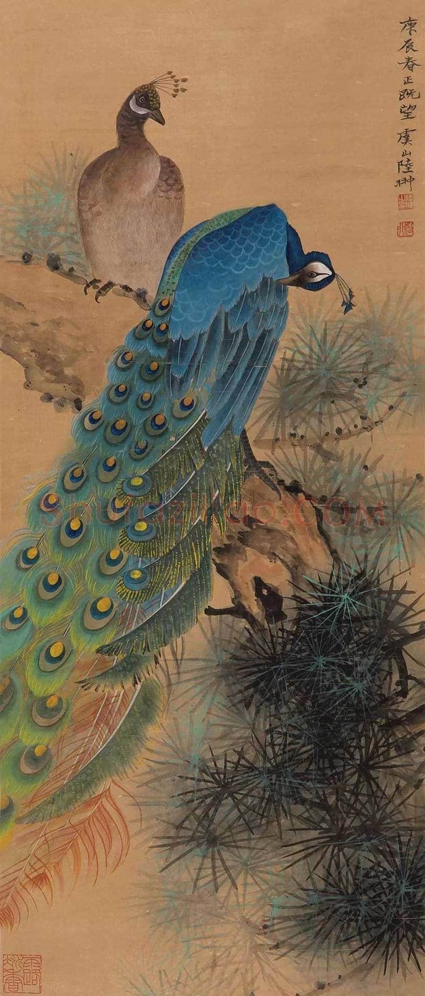 陆抑非孔雀作品欣赏 | 书画常识