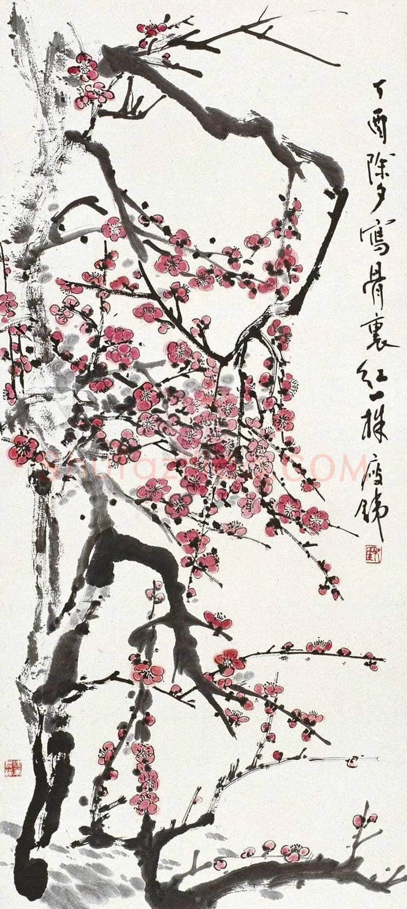 钱瘦铁花鸟画作品欣赏 | 书画讲解