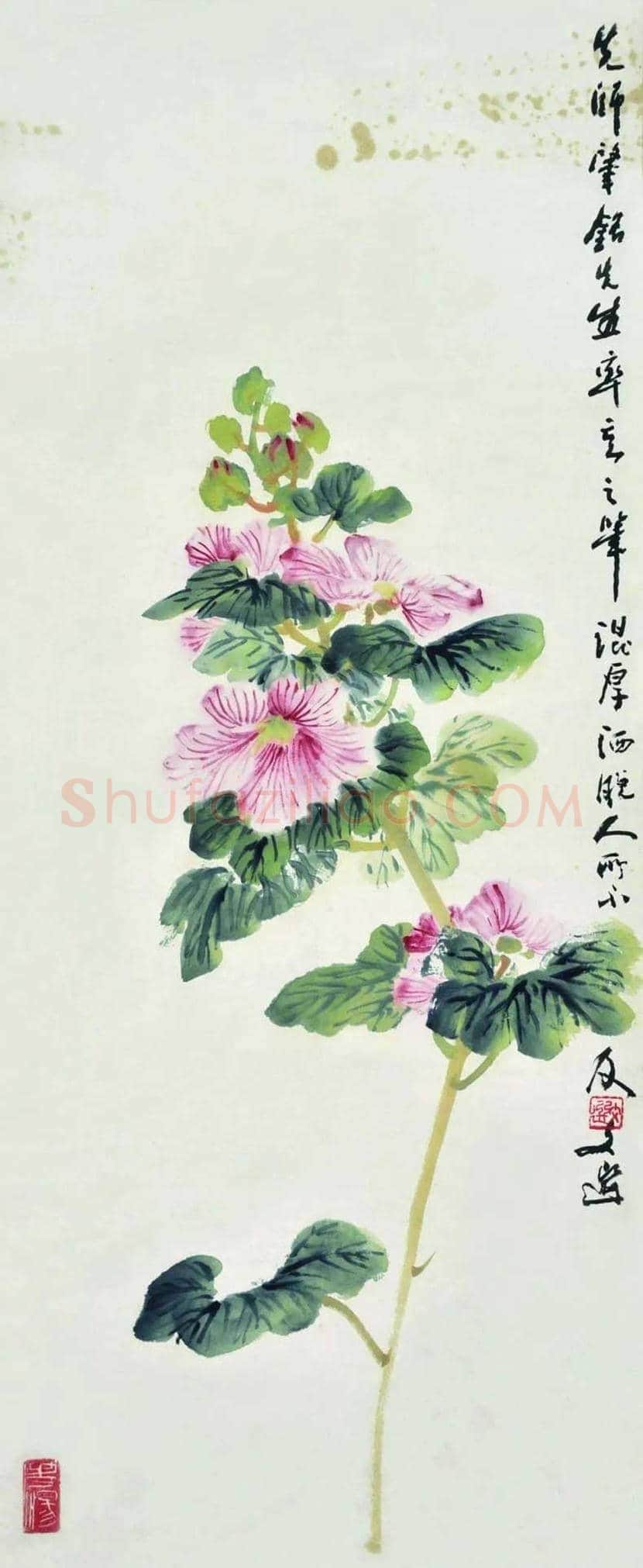 张肇铭花鸟画欣赏 | 书画学堂
