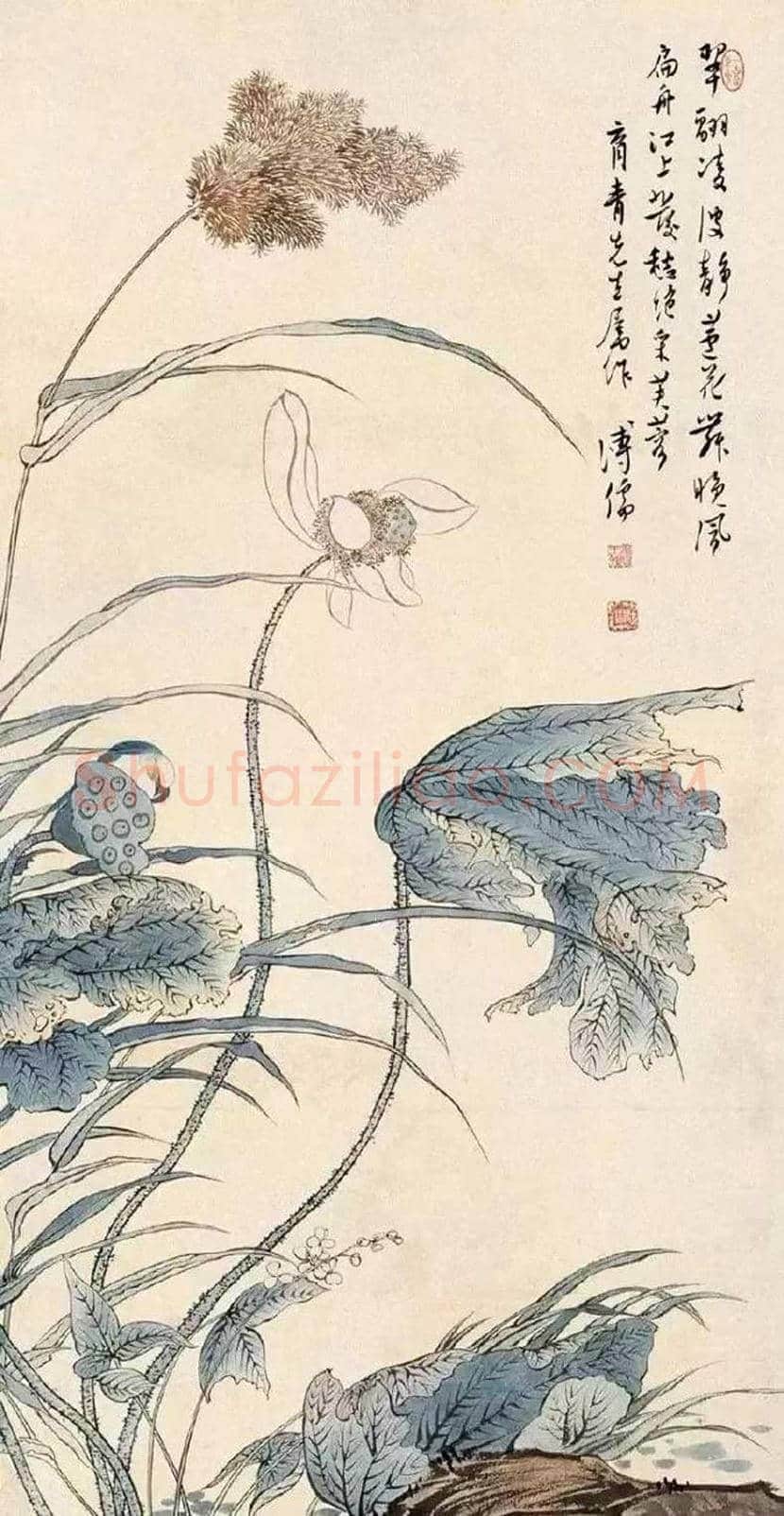 溥心畲笔下的荷花,清新脱俗! | 书画资料