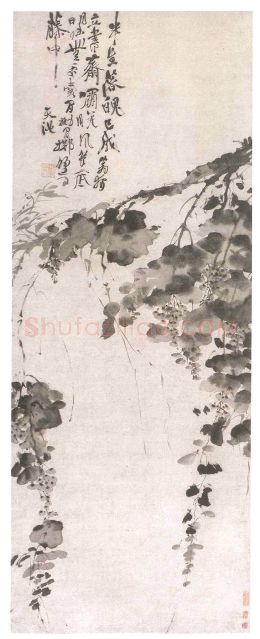 徐渭作品《墨葡萄图》欣赏 | 书画常识