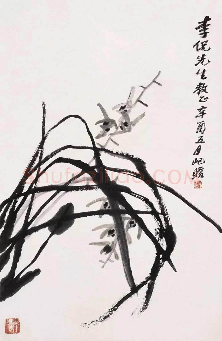 朱屺瞻国画作品欣赏 | 书画科普