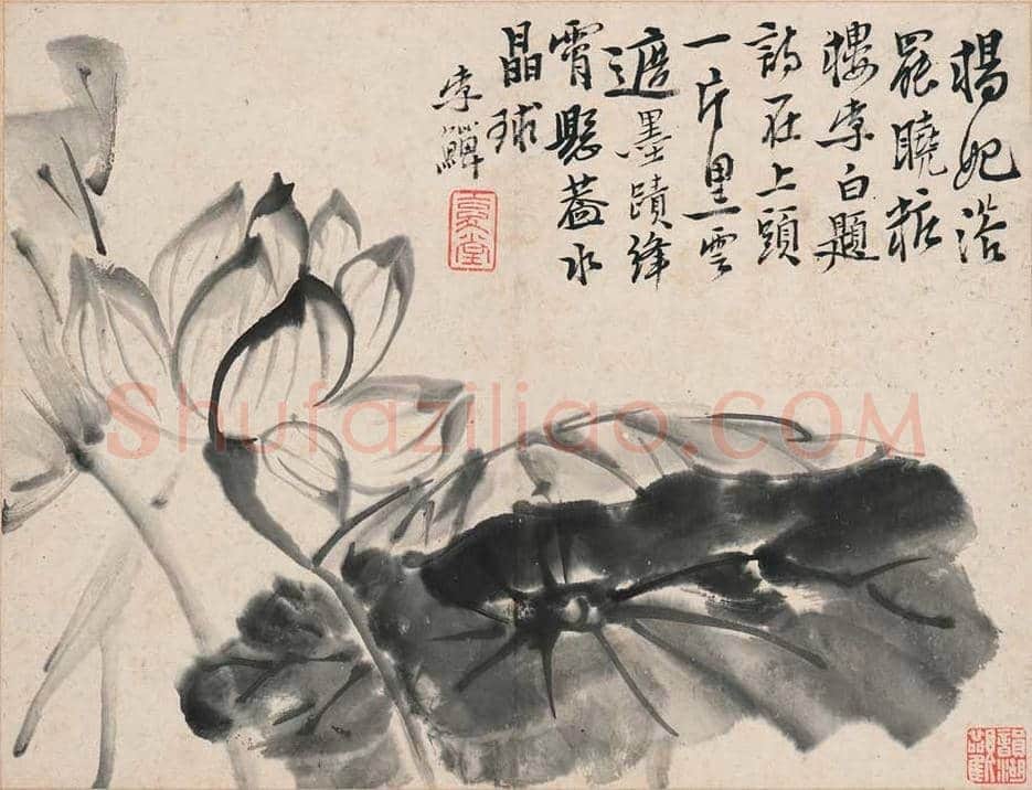 李鱓花鸟册页欣赏 | 书画讲解
