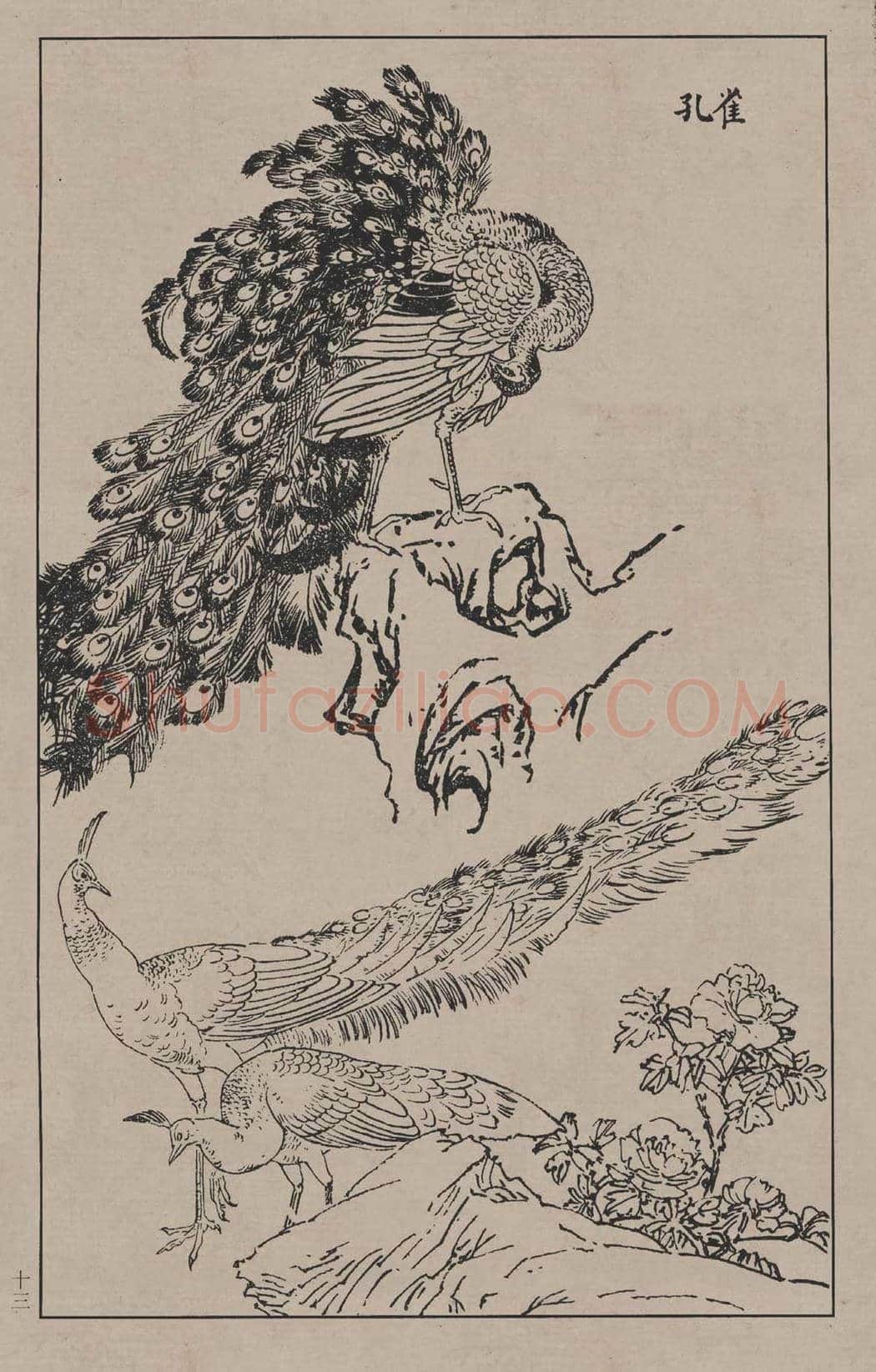 工笔画线描百鸟画谱，太美了 | 书画资料
