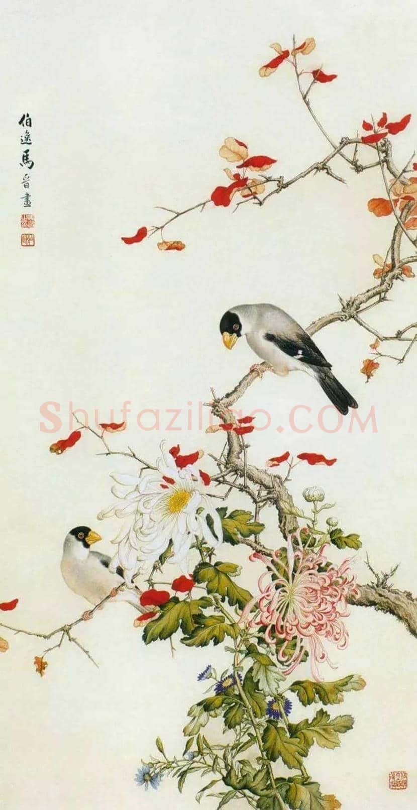 马晋作品欣赏 | 书画常识
