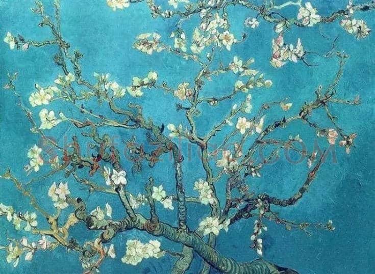 《杏花》：梵高家族唯一不肯出售的画作 | 书画知识