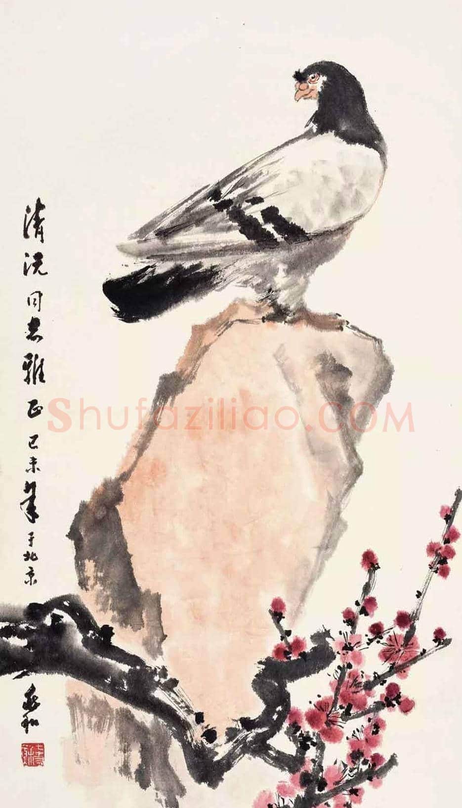 蒋兆和花鸟画作品欣赏 | 书画科普