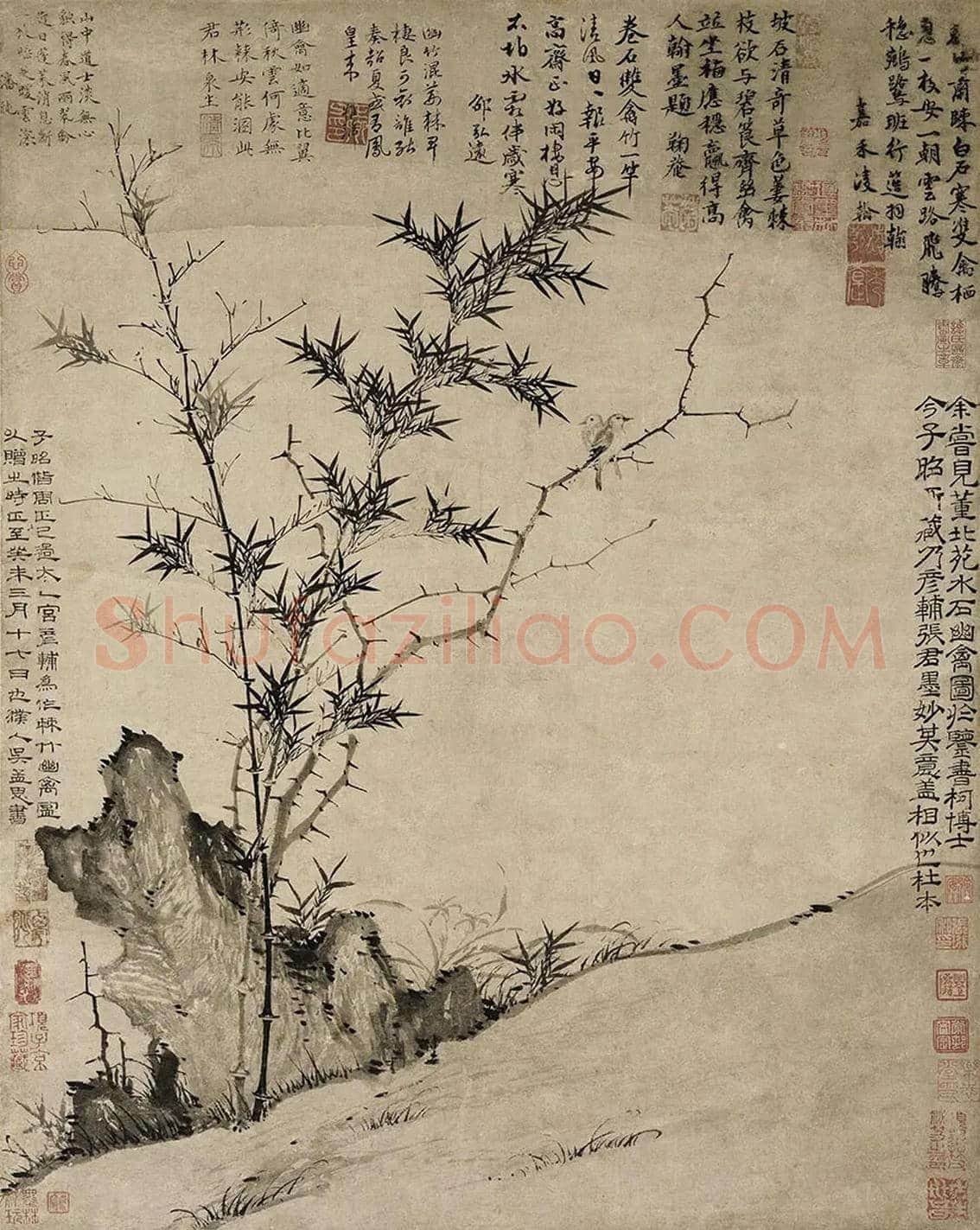 张彦辅作品《棘竹幽禽图》欣赏 | 书画资料
