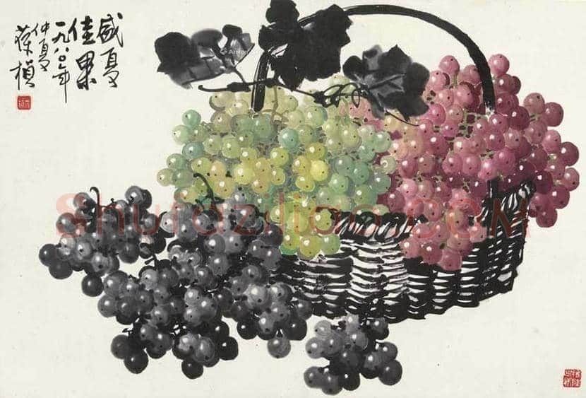 苏葆桢国画葡萄欣赏 | 书画知识