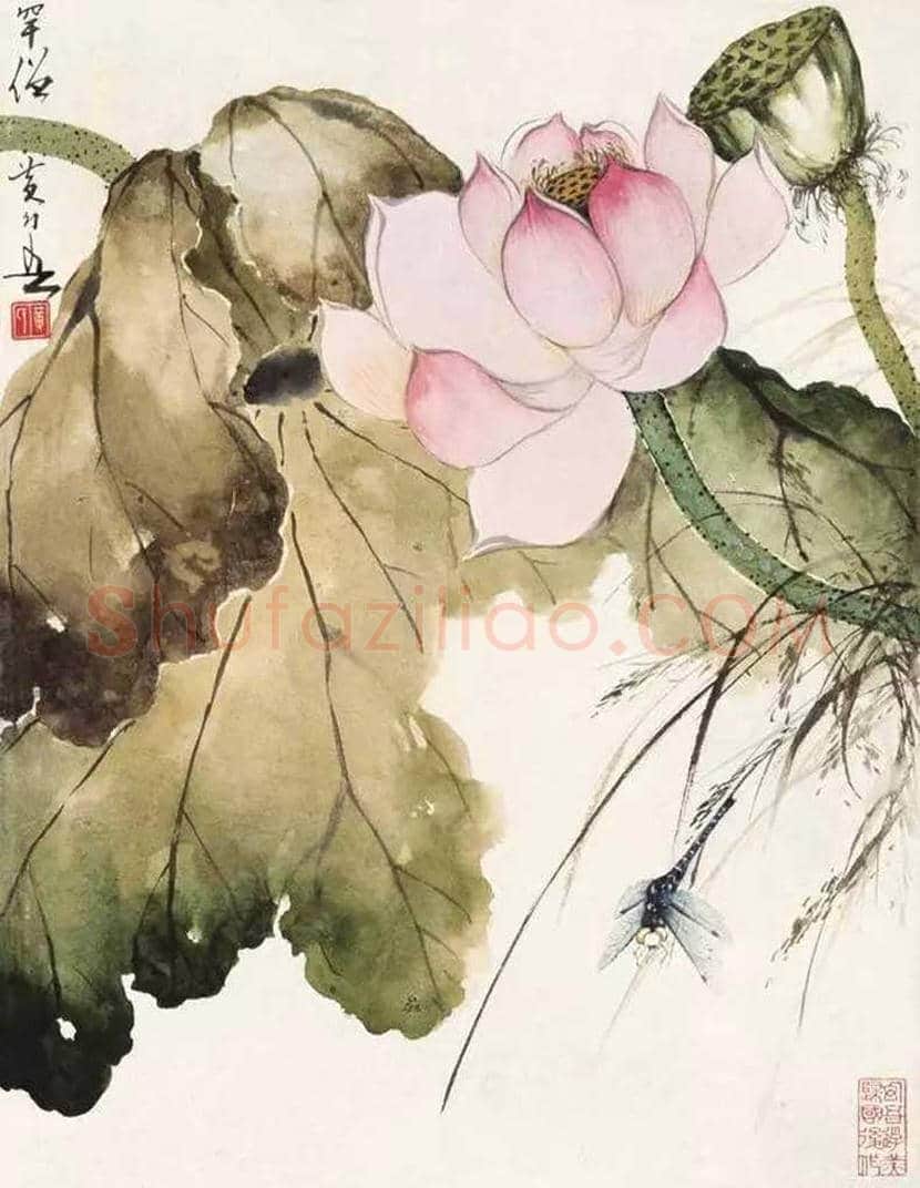 黄幻吾花鸟画作品欣赏 | 书画科普