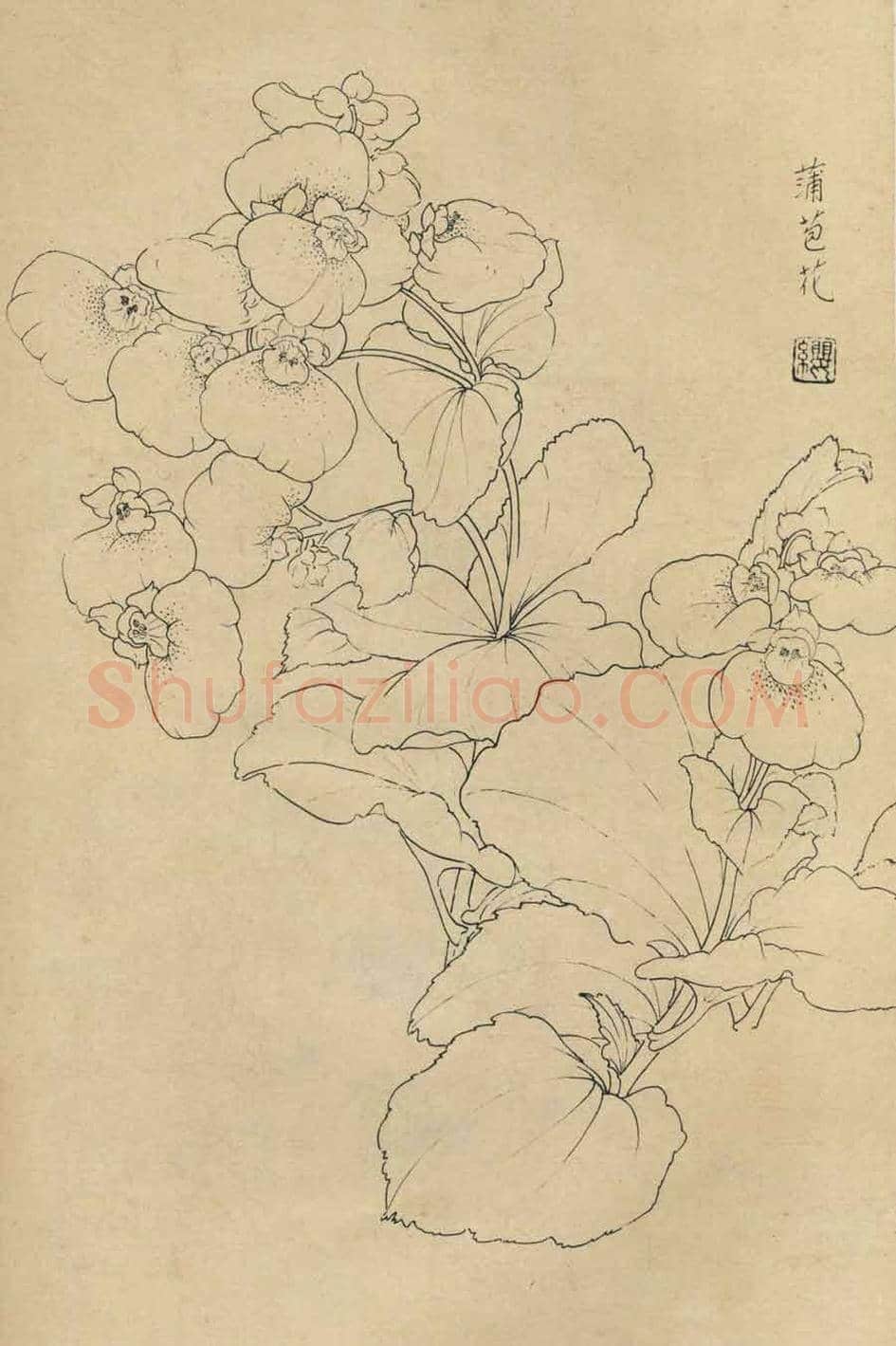 百花图谱大全【白描画】 | 书画资料