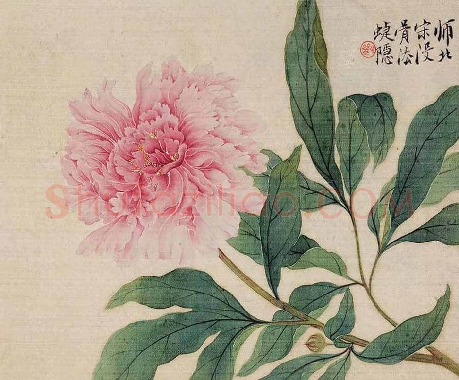 名家笔下的牡丹花【高清大图】 | 书画讲解