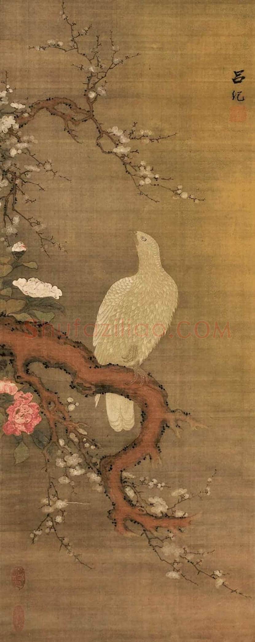 吕纪花鸟画欣赏 | 书画学堂