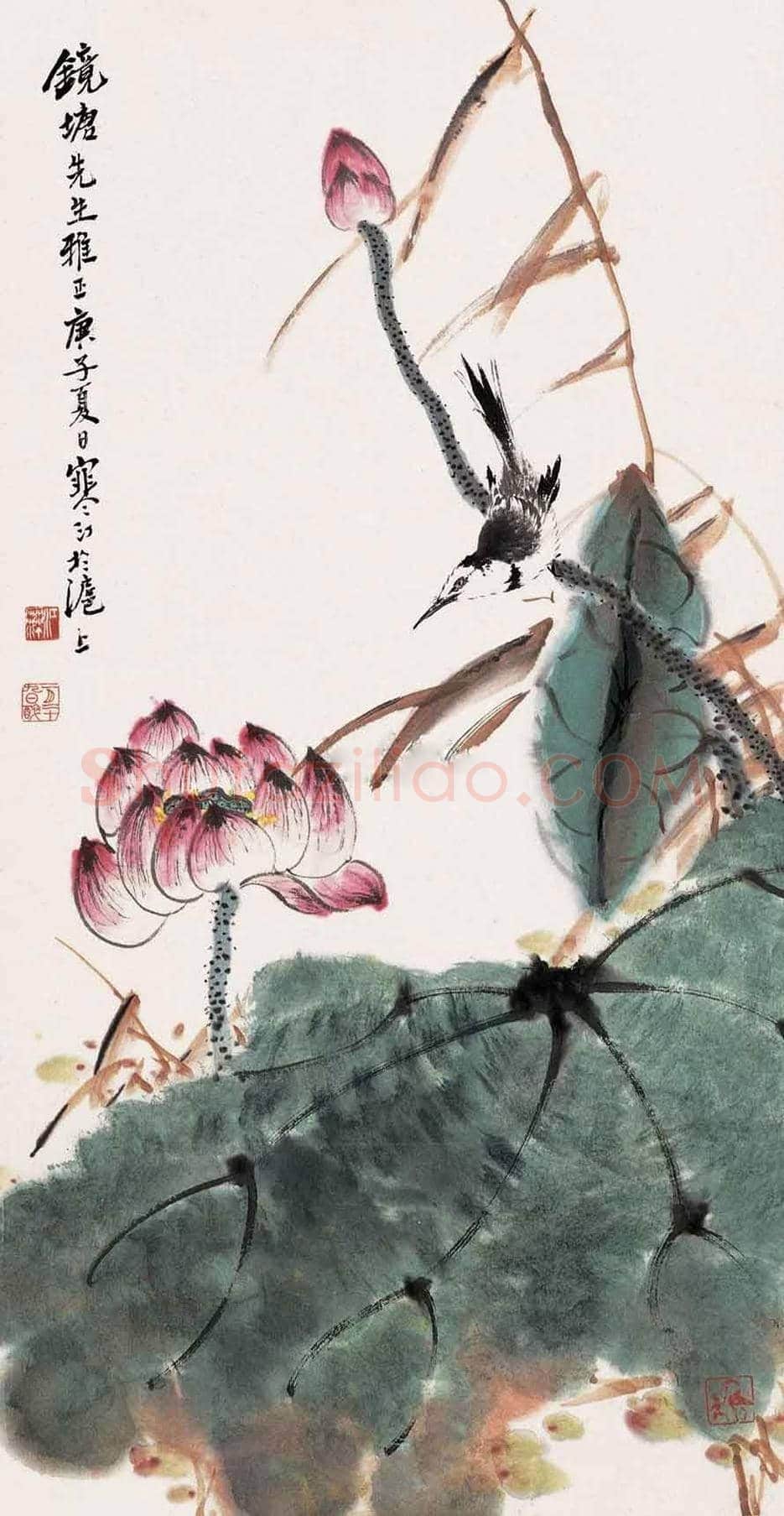 江寒汀荷花作品欣赏 | 书画讲解